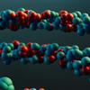 polymer